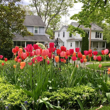 Spring Tulip Garden