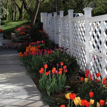 Spring Tulips and Trellis Design