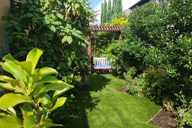 Foto de jardín de secano contemporáneo de tamaño medio en patio trasero con exposición parcial al sol y mantillo