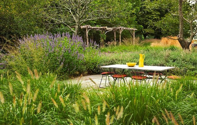 We’d Like to Be Invited to These Outdoor Dining Rooms