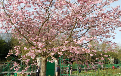 Take a Mini Springtime Tour of Monet's Giverny Gardens
