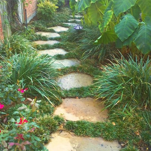 Esempio di un giardino formale tropicale di medie dimensioni e nel cortile laterale con un ingresso o sentiero e pavimentazioni in pietra naturale
