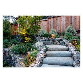 Stairway Through Plantings Traditional Landscape San Francisco By Terra Ferma Landscapes