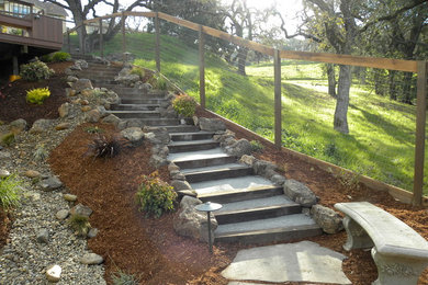 Inspiration for a southwestern landscaping in San Francisco.