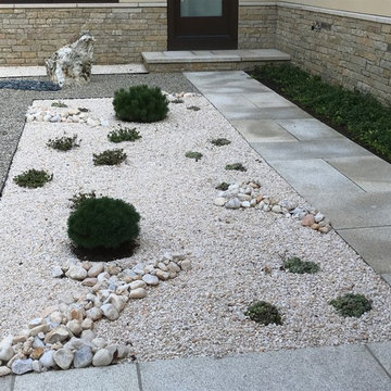 Stamford Modern - Planting Improvements & Zen style garden