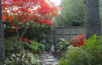 Lay of the Landscape: Create the Beauty of a Japanese Garden