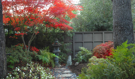 Lay of the Landscape: Create the Beauty of a Japanese Garden