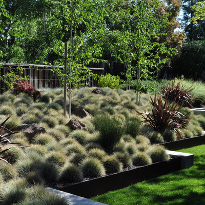 Photo of a modern retaining wall landscape in San Francisco.