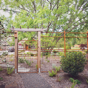 Steel Mesh Fence + Gate Arbor