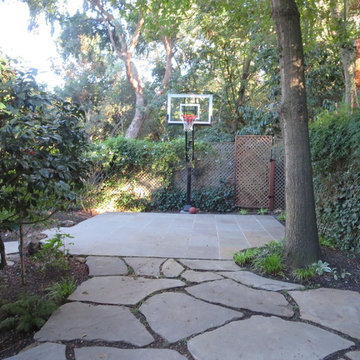 Stephen G's Pro Dunk Silver Basketball System on a 19x22 in Oakland, CA