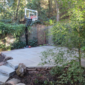 Stephen G's Pro Dunk Silver Basketball System on a 19x22 in Oakland, CA