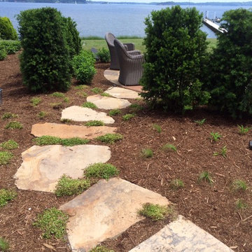 Steppers, Steps and Paths