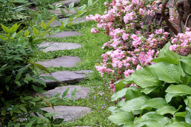 ワシントンD.C.にある低価格の小さなトラディショナルスタイルのおしゃれな横庭 (天然石敷き) の写真
