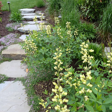 Stepping Stone Path with Perennial Plants