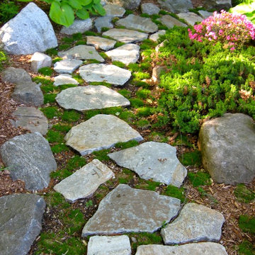 Stepping stone walkway with moss