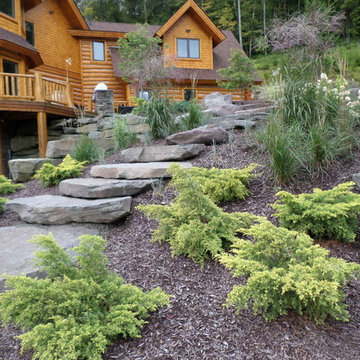 Steps and Gold Lace Junipers