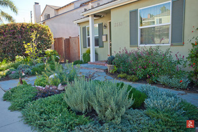 This is an example of a traditional landscaping in Los Angeles.
