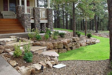 Photo of a mid-sized rustic front yard stone landscaping in Phoenix.