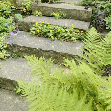 Stone steps with living details