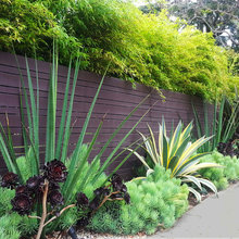 Xeriscape/Landscaping