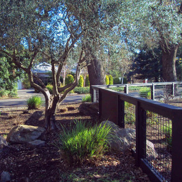 Streetscape with intentionally subtle transition to front yard