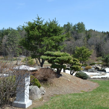 Stroll Garden in May