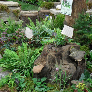 Stump Garden