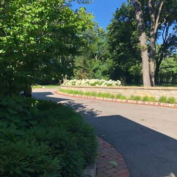 Suburban Itasca Sanctuary