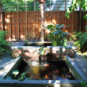 Suburban Oasis