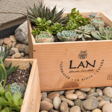 Succulent Garden for Small Spaces