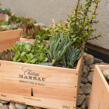 Succulent Garden for Small Spaces