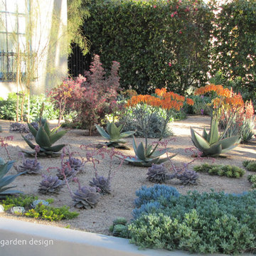 SUCCULENT GARDEN