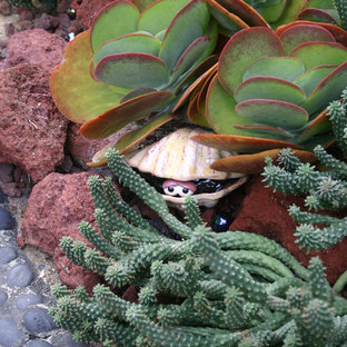 Inspiration for an eclectic landscaping in San Diego.