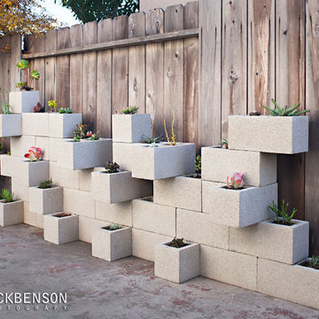 Succulent Planter Wall