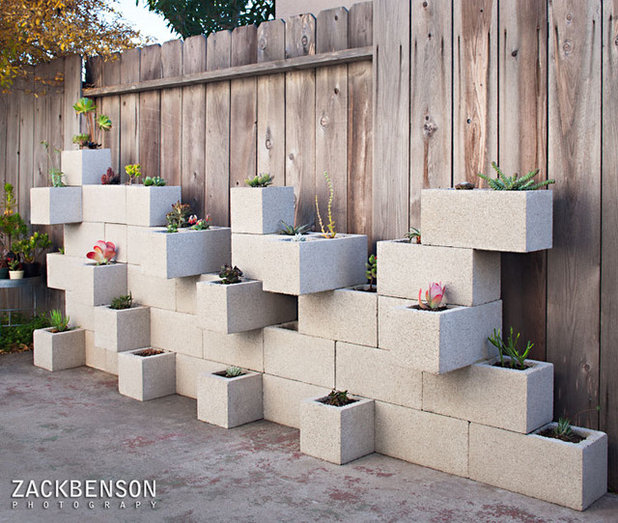 Contemporary Garden by Zack Benson Photography