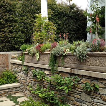 Succulent Planters for California Cottage Gardens