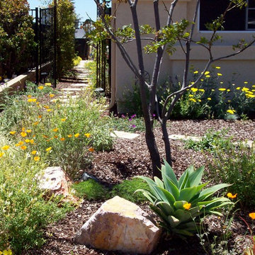 Southern California Landscape Design - Photos & Ideas | Houzz