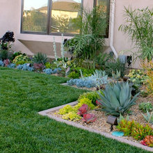front yard plants