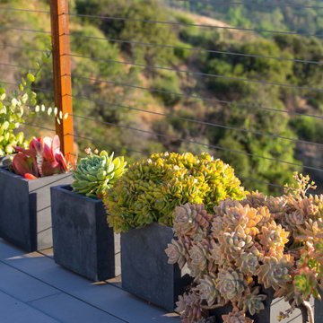 Succulents with concrete pavers and pebbles
