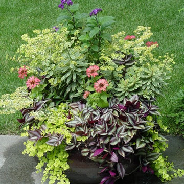 Summer Container Pot Garden Design, Winnetka, IL.