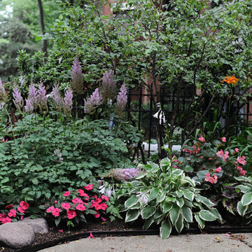 Summer Containers