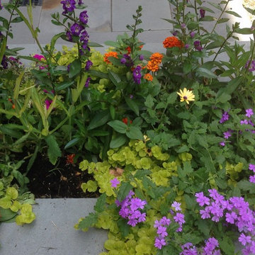 summer containers