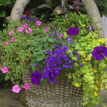Summer containers