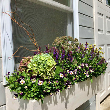 Summer Contrast Window Boxes