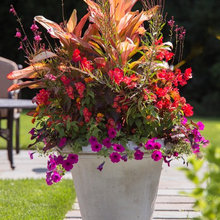 Gardening: Containers