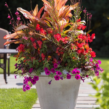 Summer Flower Container & Annual Display