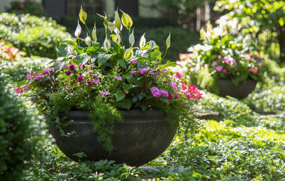 14 Beautiful Container Gardens for Shady Spots