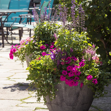 Summer Flower Containers & Annual Display