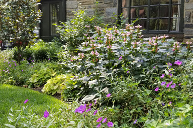 Design ideas for a mid-sized transitional partial sun front yard landscaping in Philadelphia for summer.