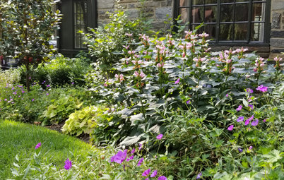 Pros Share Their Top Plant Picks for a Low-Maintenance Yard